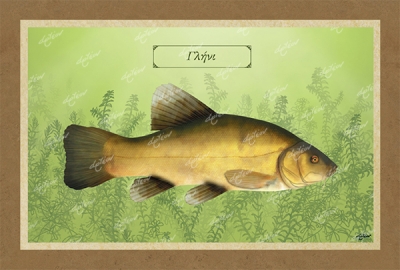 &Gamma;&Lambda;&Eta;&Nu;&Iota; - &Kappa;&alpha;&mu;&beta;ά&sigmaf;