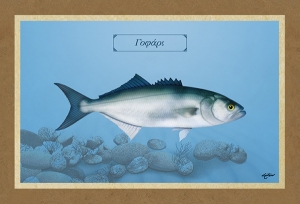 &Gamma;&Omicron;&Phi;&Alpha;&Rho;&Iota; - &Kappa;&alpha;&mu;&beta;ά&sigmaf;