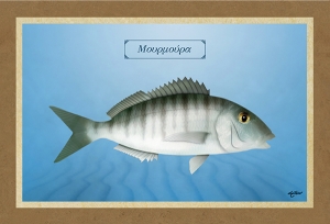 &Mu;&Omicron;&Upsilon;&Rho;&Mu;&Omicron;&Upsilon;&Rho;&Alpha; - &Kappa;&alpha;&mu;&beta;ά&sigmaf;