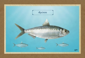 &Phi;&Rho;&Iota;&Sigma;&Sigma;&Alpha; - &Kappa;&alpha;&mu;&beta;ά&sigmaf;