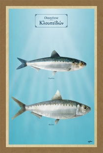 &Omicron;&iota;&kappa;&omicron;&gamma;έ&nu;&epsilon;&iota;&alpha; &Kappa;&lambda;&omicron;&upsilon;&pi;&epsilon;ϊ&delta;ώ&nu; - &Kappa;&alpha;&mu;&beta;ά&sigmaf;