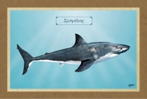 &Sigma;&Mu;&Pi;&Rho;&Iota;&Lambda;&Iota;&Omicron;&Sigma; - &Kappa;&alpha;&mu;&beta;ά&sigmaf;