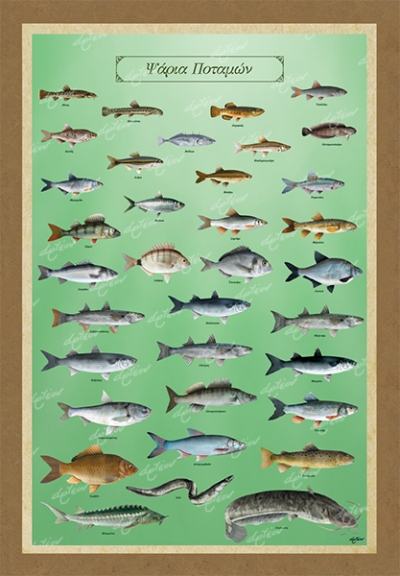 &Psi;&Alpha;&Rho;&Iota;&Alpha; &Pi;&Omicron;&Tau;&Alpha;&Mu;&Omega;&Nu; - K&alpha;&mu;&beta;ά&sigmaf;