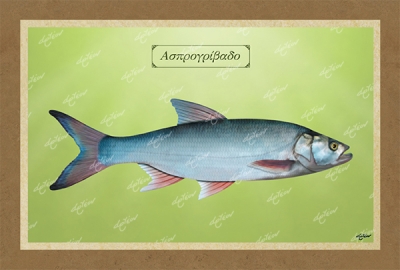 &Alpha;&Sigma;&Pi;&Rho;&Omicron;&Gamma;&Rho;&Iota;&Beta;&Alpha;&Delta;&Omicron; - &Kappa;&alpha;&mu;&beta;ά&sigmaf;