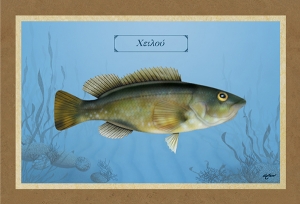 &Chi;&Epsilon;&Iota;&Lambda;&Omicron;&Upsilon; - &Kappa;&alpha;&mu;&beta;ά&sigmaf;