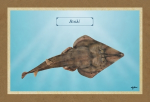 &Beta;&Iota;&Omicron;&Lambda;&Iota; - &Kappa;&alpha;&mu;&beta;ά&sigmaf;