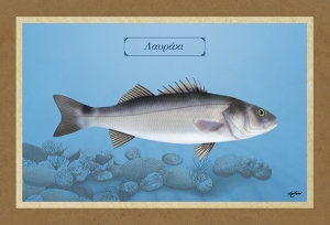 &Lambda;&Alpha;&Upsilon;&Rho;&Alpha;&Kappa;&Iota; - &Kappa;&alpha;&mu;&beta;ά&sigmaf;