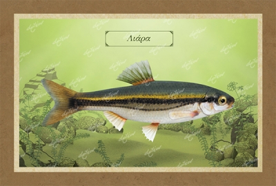 &Lambda;&Iota;&Alpha;&Rho;&Alpha; - &Kappa;&alpha;&mu;&beta;ά&sigmaf;