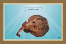 &Mu;&Omicron;&Upsilon;&Delta;&Iota;&Alpha;&Sigma;&Tau;&Rho;&Alpha; - &Kappa;&alpha;&mu;&beta;ά&sigmaf;