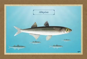 &Alpha;&Theta;&Epsilon;&Rho;&Iota;&Nu;&Alpha; - &Kappa;&alpha;&mu;&beta;ά&sigmaf;