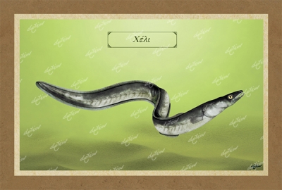 &Chi;&Epsilon;&Lambda;&Iota; - &Kappa;&alpha;&mu;&beta;ά&sigmaf;