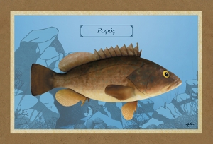 &Rho;&Omicron;&Phi;&Omicron;&Sigma; - &Kappa;&alpha;&mu;&beta;ά&sigmaf;