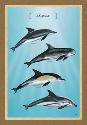 &Delta;&Epsilon;&Lambda;&Phi;&Iota;&Nu;&Iota;&Alpha; - &Kappa;&alpha;&mu;&beta;ά&sigmaf;