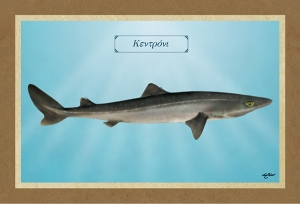 &Kappa;&Epsilon;&Nu;&Tau;&Rho;&Omicron;&Nu;&Iota; - &Kappa;&alpha;&mu;&beta;ά&sigmaf;