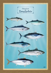 &Omicron;&iota;&kappa;&omicron;&gamma;έ&nu;&epsilon;&iota;&alpha; &Sigma;&kappa;&omicron;&mu;&beta;&rho;&iota;&delta;ώ&nu; - &Kappa;&alpha;&mu;&beta;ά&sigmaf;