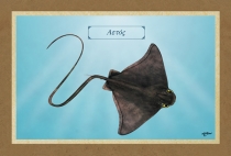 &Alpha;&Epsilon;&Tau;&Omicron;&Sigma; - &Kappa;&alpha;&mu;&beta;ά&sigmaf;