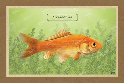 &Chi;&Rho;&Upsilon;&Sigma;&Omicron;&Psi;&Alpha;&Rho;&Omicron; - &Kappa;&alpha;&mu;&beta;ά&sigmaf;