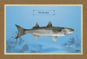 &Mu;&Upsilon;&Xi;&Iota;&Nu;&Alpha;&Rho;&Iota; - &Kappa;&alpha;&mu;&beta;ά&sigmaf;