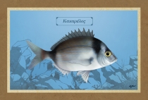 &Kappa;&Alpha;&Kappa;&Alpha;&Rho;&Epsilon;&Lambda;&Omicron;&Sigma; - &Kappa;&alpha;&mu;&beta;ά&sigmaf;