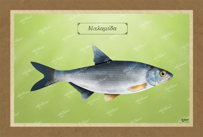 &Mu;&Alpha;&Lambda;&Alpha;&Mu;&Iota;&Delta;&Alpha; - &Kappa;&alpha;&mu;&beta;ά&sigmaf;