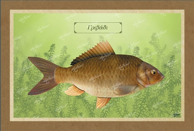 &Gamma;&Rho;&Iota;&Beta;&Alpha;&Delta;&Iota; - &Kappa;&alpha;&mu;&beta;ά&sigmaf;