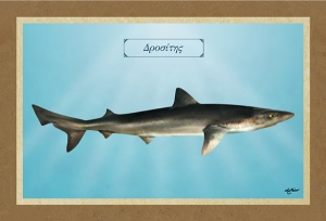 &Delta;&Rho;&Omicron;&Sigma;&Iota;&Tau;&Eta;&Sigma; - &Kappa;&alpha;&mu;&beta;ά&sigmaf;