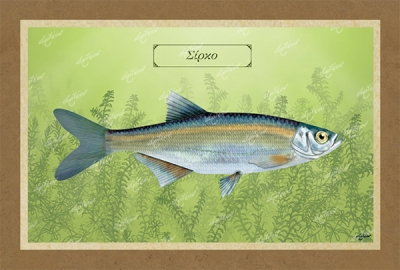 &Sigma;&Iota;&Rho;&Kappa;&Omicron; - &Kappa;&alpha;&mu;&beta;ά&sigmaf;